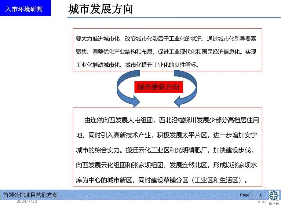 房地产项目营销策略及执行方案_第5页