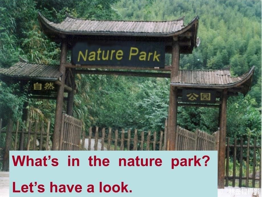 人教PEP版英语五上Unit 6 In a Nature Parkppt课件3_第5页