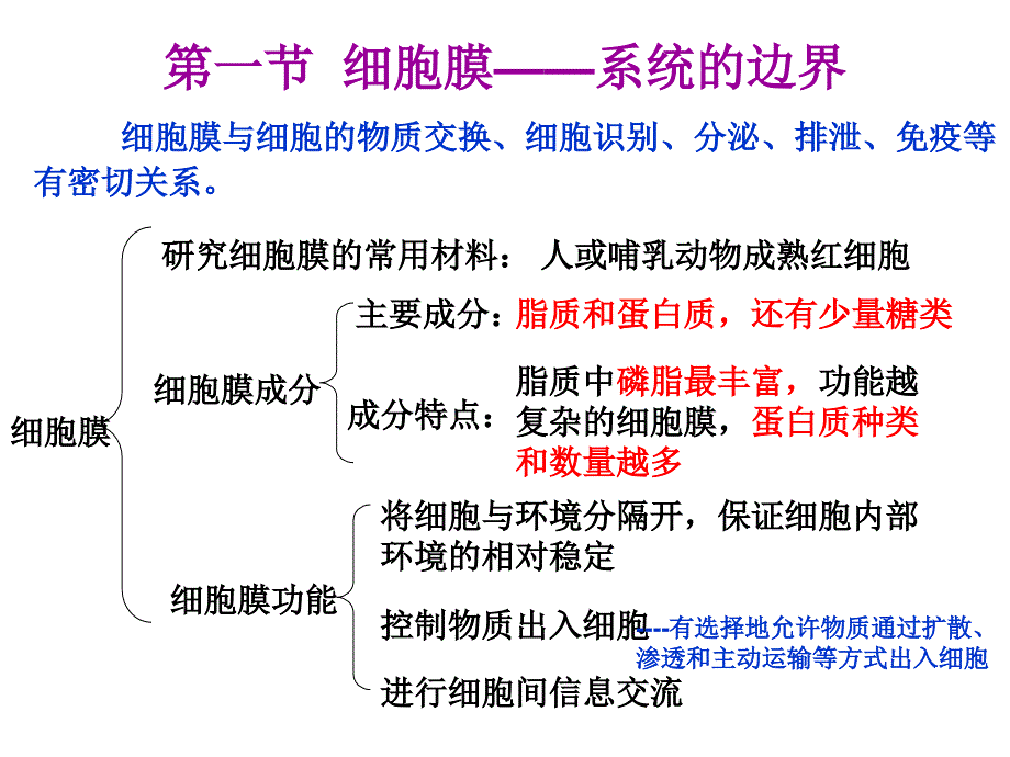 高中生物必修一第三章复习要点ppt课件_第1页