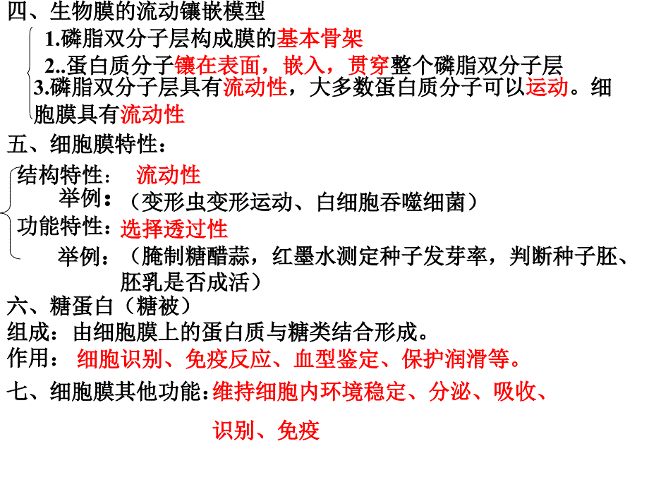 高中生物必修一第三章复习要点ppt课件_第3页