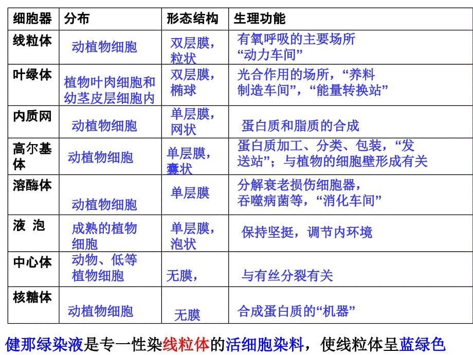 高中生物必修一第三章复习要点ppt课件_第5页