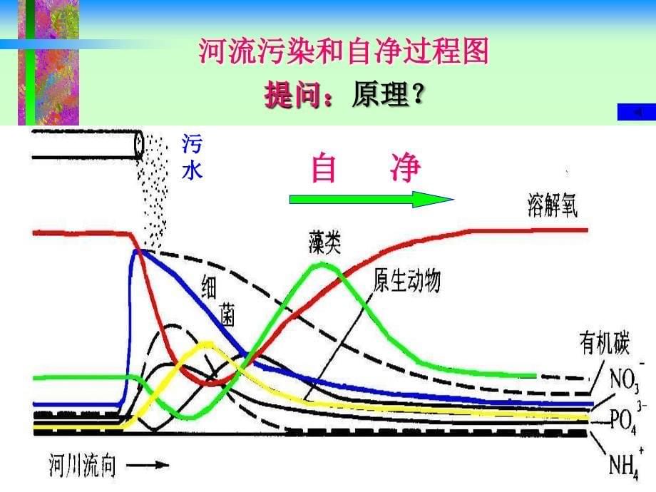 水体污染与自净_第5页