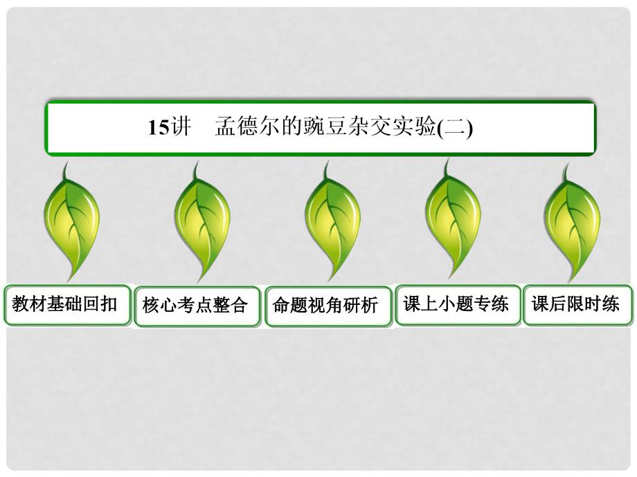 高考生物一轮复习 （基础回扣+考点整合+命题研析+课内外训练） 115 孟德尔的豌豆杂交实验（二）课件（含详解）新人教版必修2_第3页