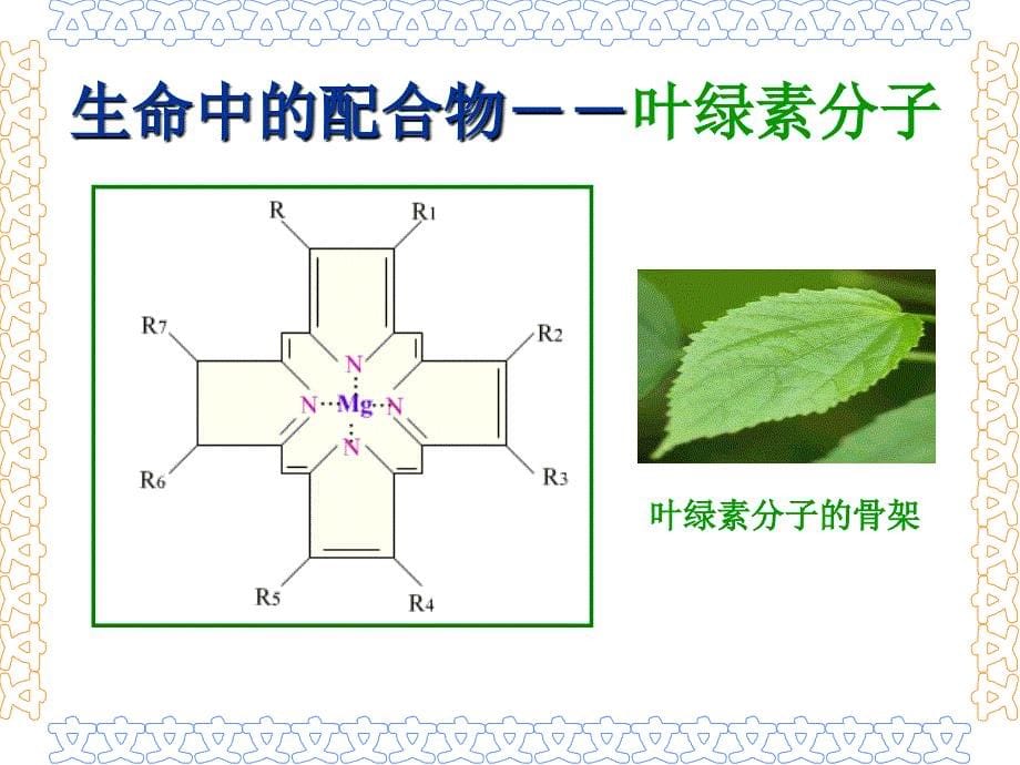 配位化合物的基本概念_第5页