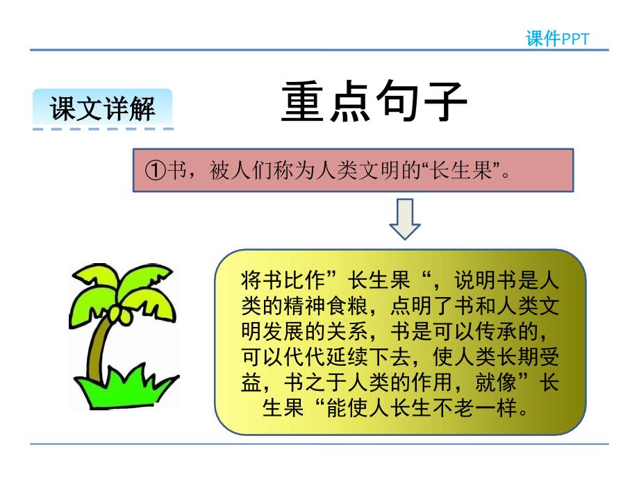 4.我的长生果(上课)_第3页