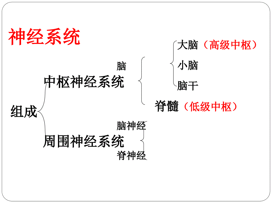 神经调节的基本方式.ppt_第2页