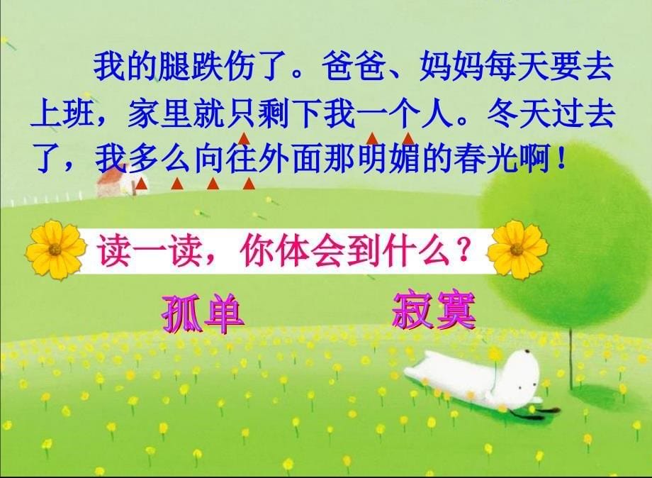 《雪儿》PPT_第5页