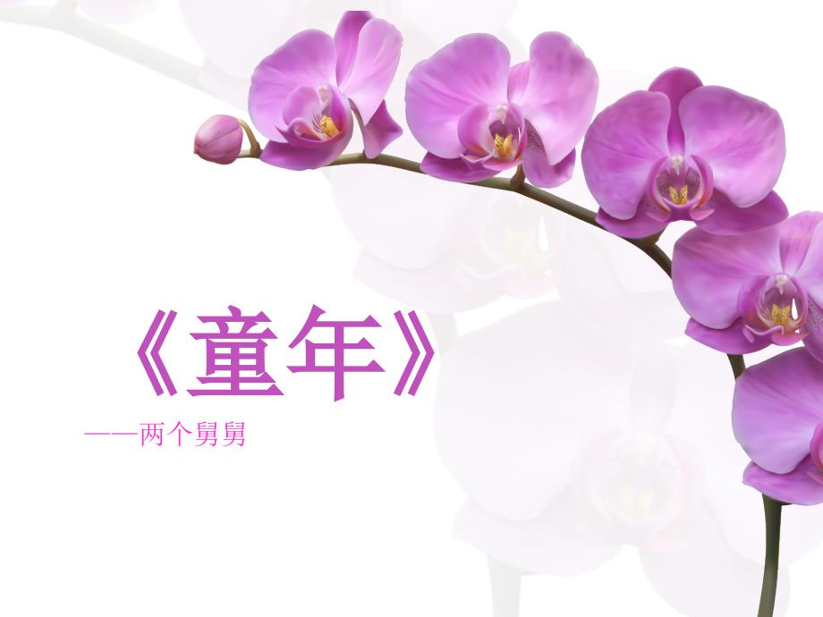 童年分章节对两个舅舅的性格特点概括PPT课件_第1页