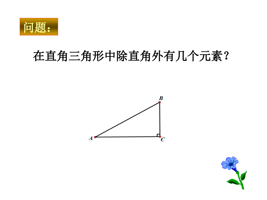 解直角三角形公开课精品教育_第2页