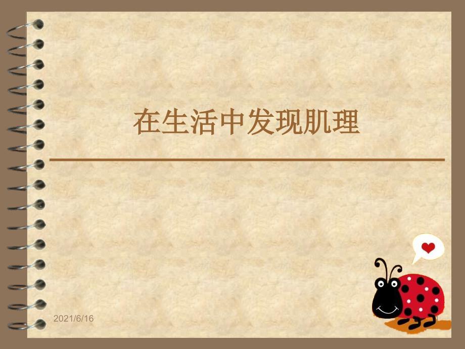 肌理与应用教学板书课件_第1页