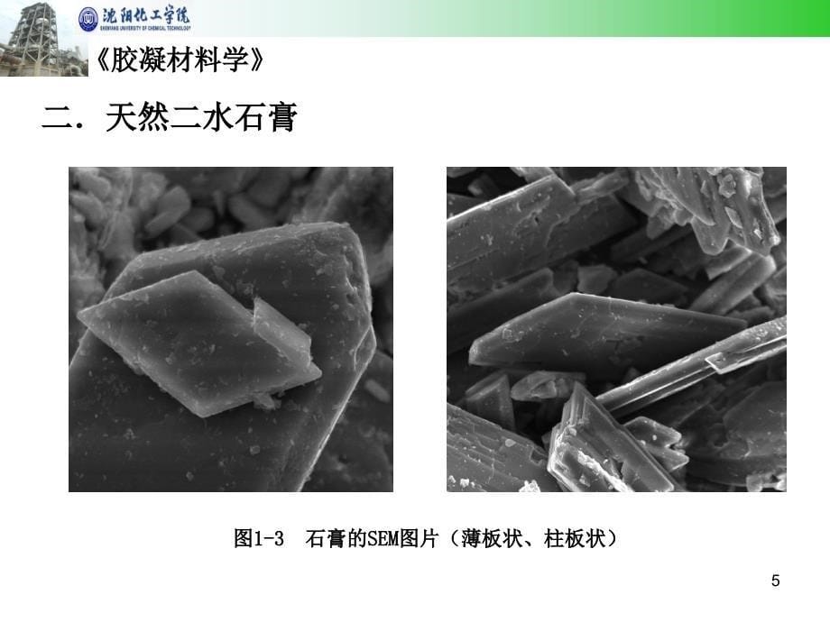 第一章--石膏PPT优秀课件_第5页