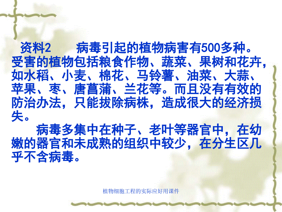 植物细胞工程的实际应好用课件_第4页