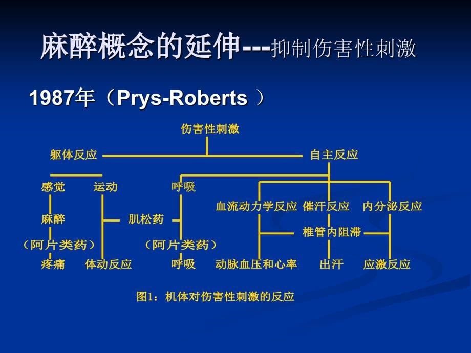 信息外科总论麻醉PPT文档_第5页