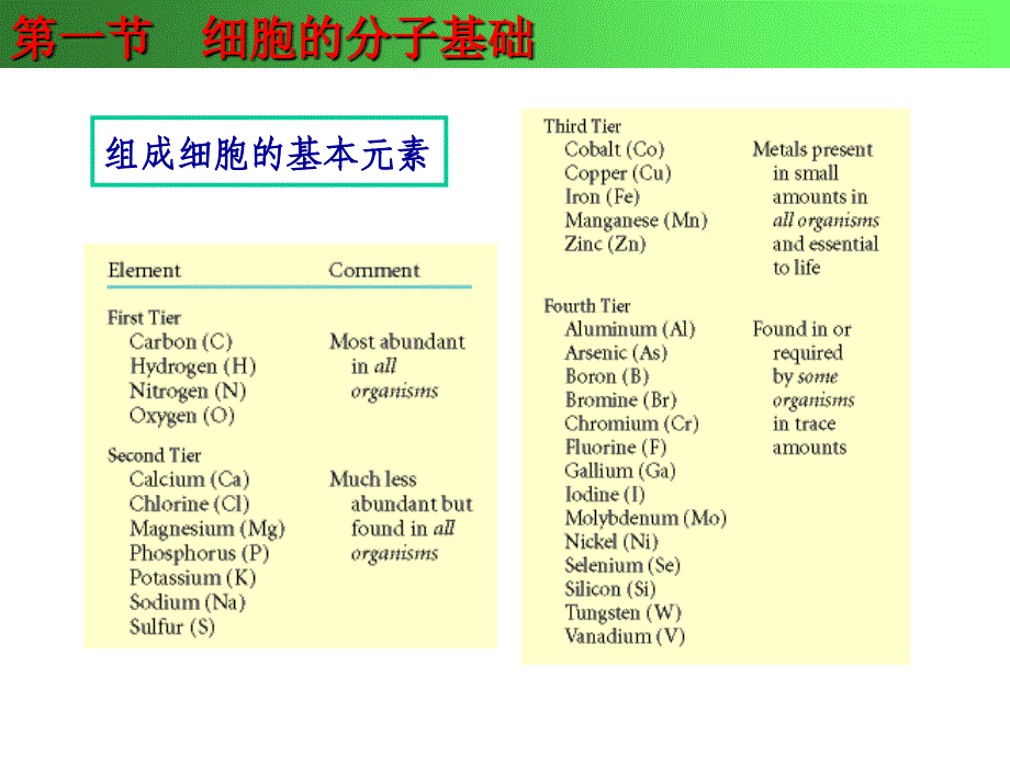 细胞的基本特征_第3页