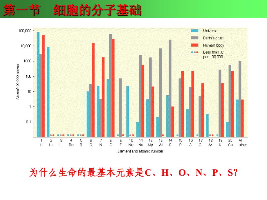 细胞的基本特征_第4页