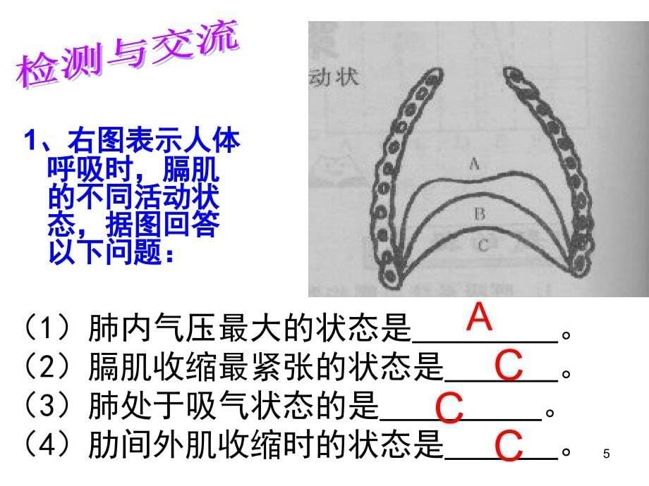 七下生物复习---第三章人体的呼吸PPT优秀课件_第5页