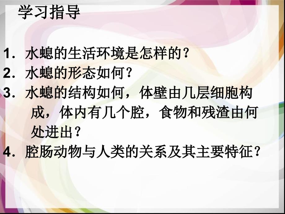 第一节腔肠动物和扁形动物_第2页