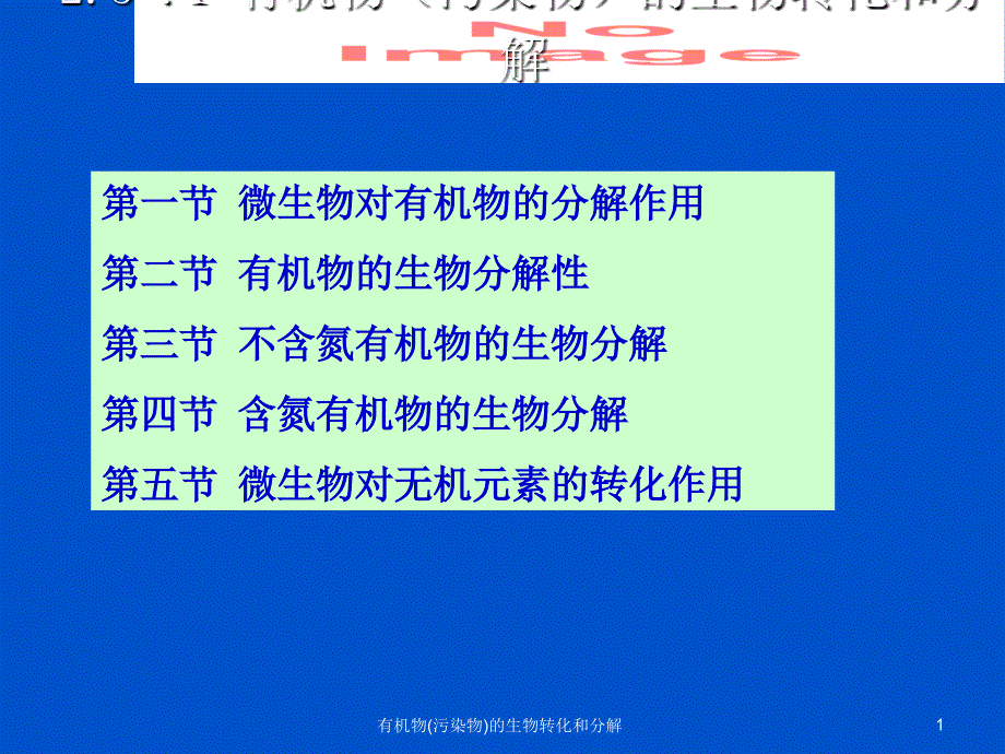 有机物(污染物)的生物转化和分解_第1页