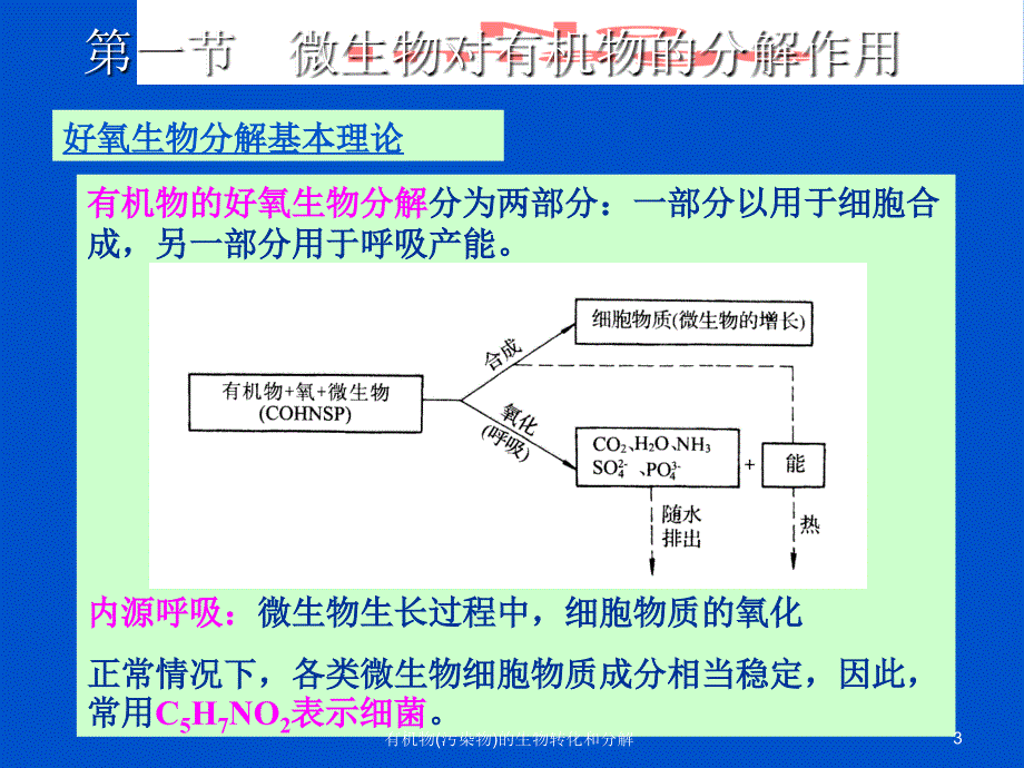 有机物(污染物)的生物转化和分解_第3页