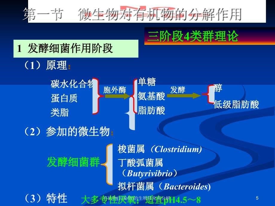 有机物(污染物)的生物转化和分解_第5页