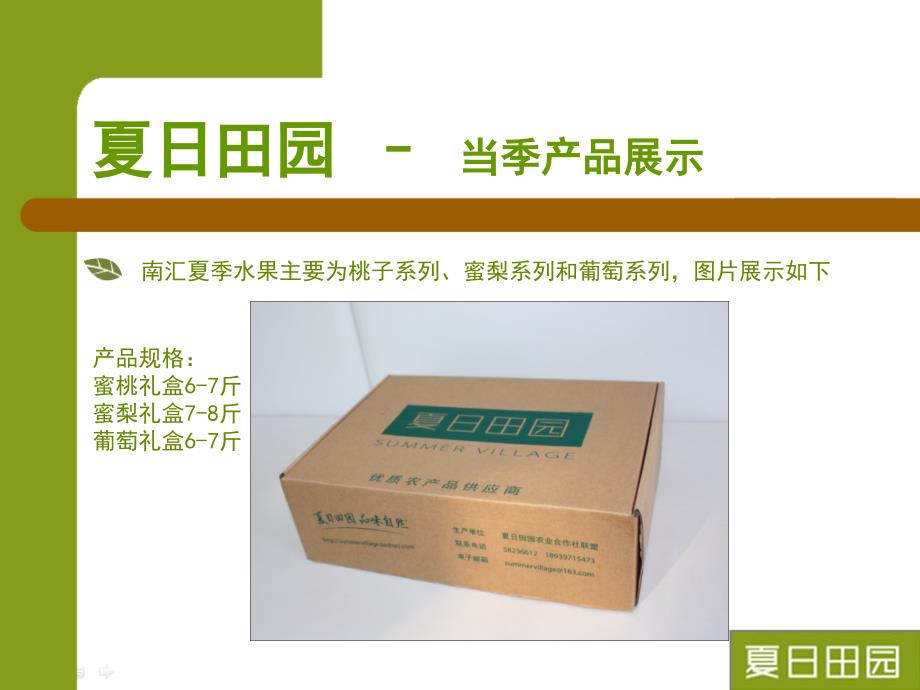 新型农产品形态夏日田园水果礼券和会员卡介绍_第3页