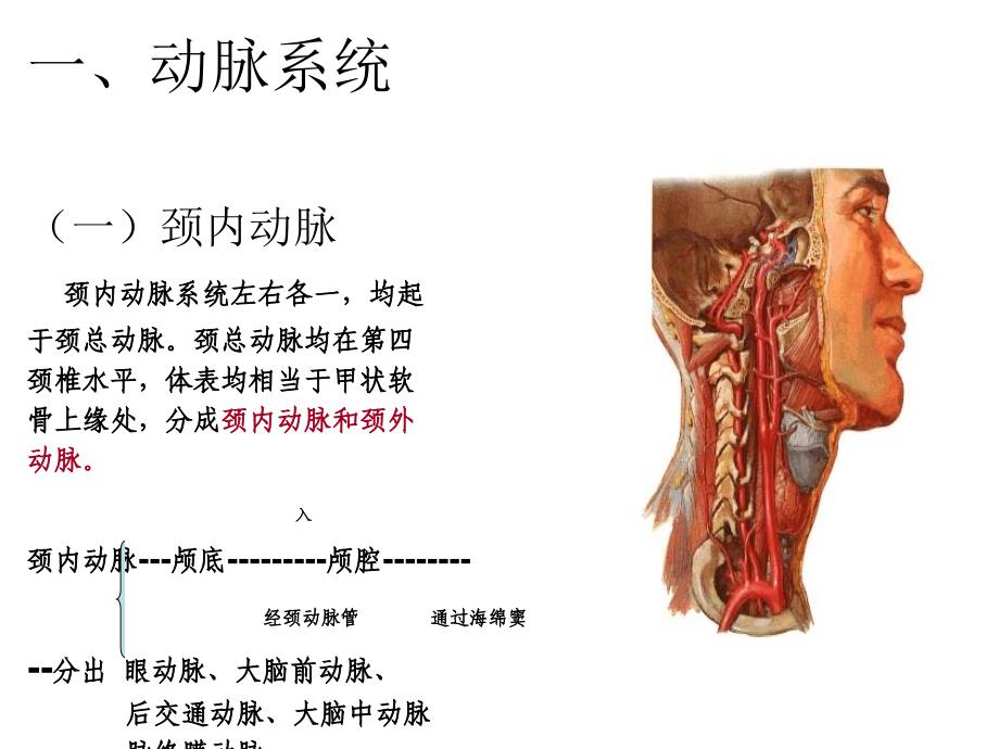 脑血管定位诊断_第4页