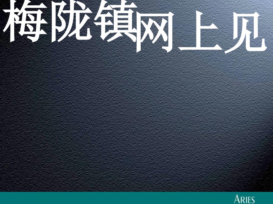 金地梅龙镇网络项目沟通策略_第1页