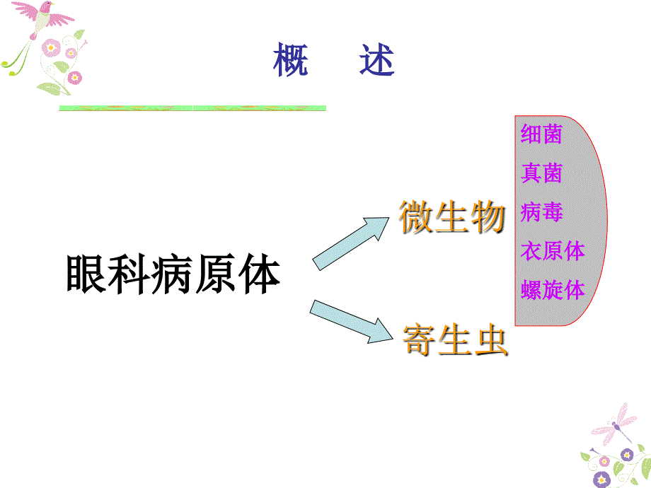 眼科相关病原体概述_第3页