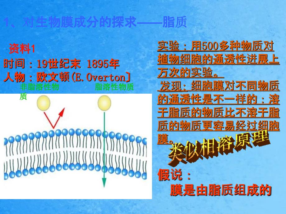 细胞膜流动镶嵌模型ppt课件_第3页