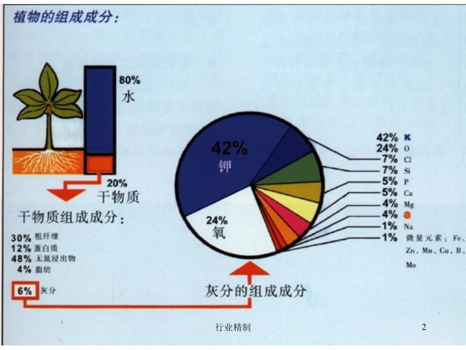 硅营养作用与作物抗逆专家知识_第2页