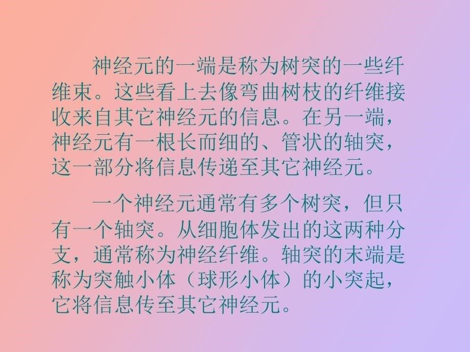 心理与行为的生物学基础_第5页