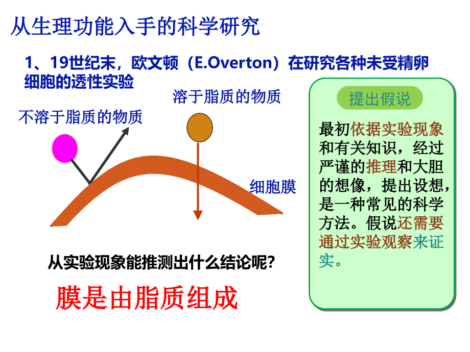 42生物膜的流动镶嵌模型 (2)_第3页