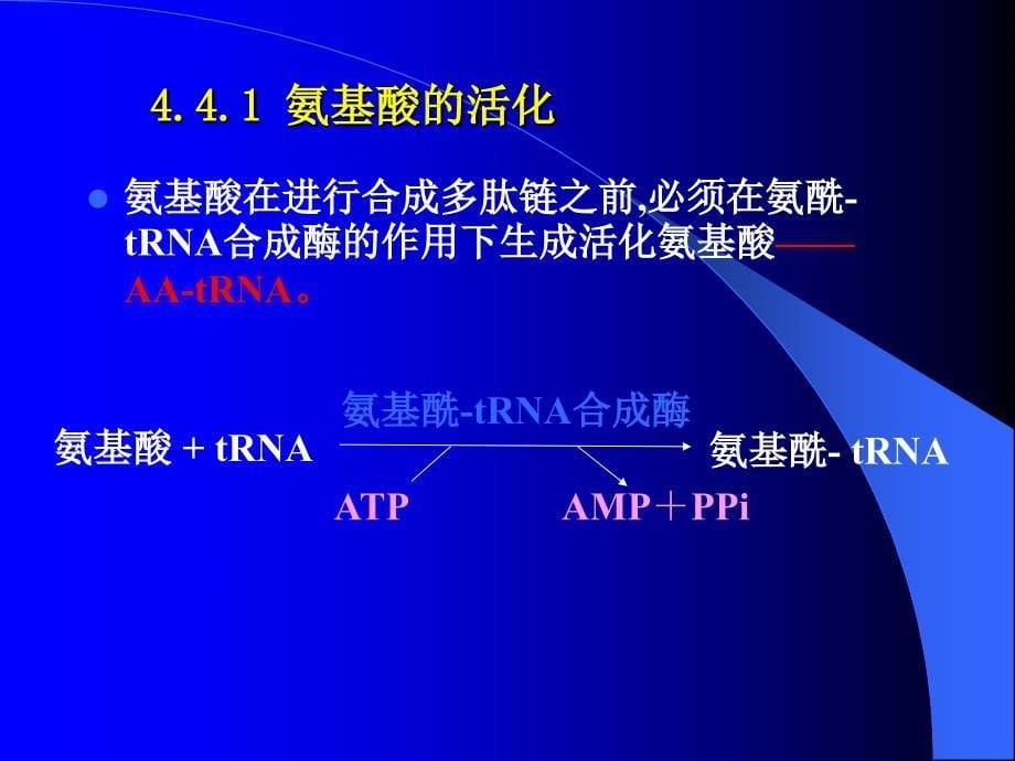 第四章生物信息的传递下3_第5页