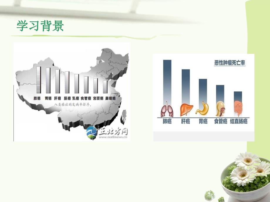 原发性肝癌病人护理ppt_第3页