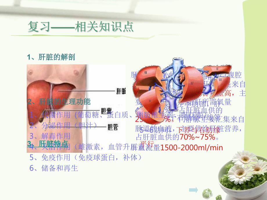 原发性肝癌病人护理ppt_第4页