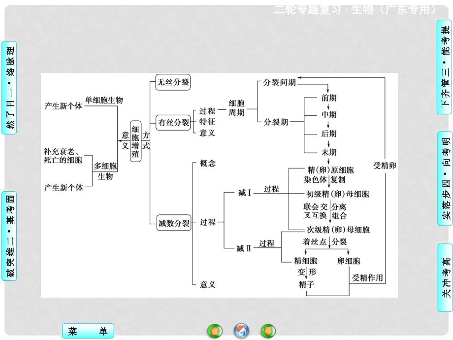 高考生物二轮复习 专题讲练突破 专题3 第1讲 细胞的增值和受精作用课件_第2页