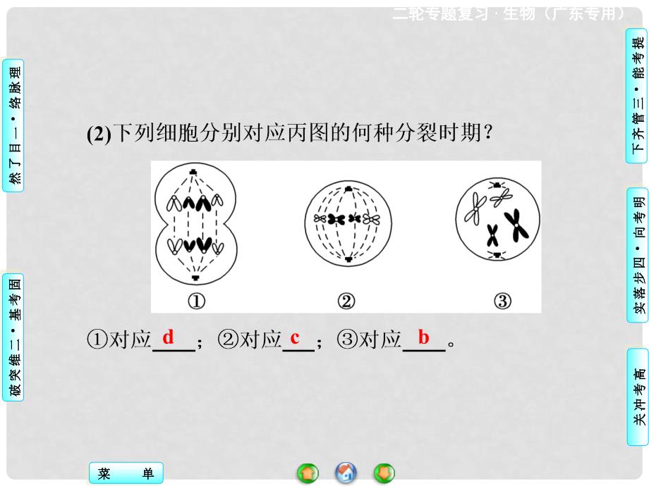 高考生物二轮复习 专题讲练突破 专题3 第1讲 细胞的增值和受精作用课件_第4页