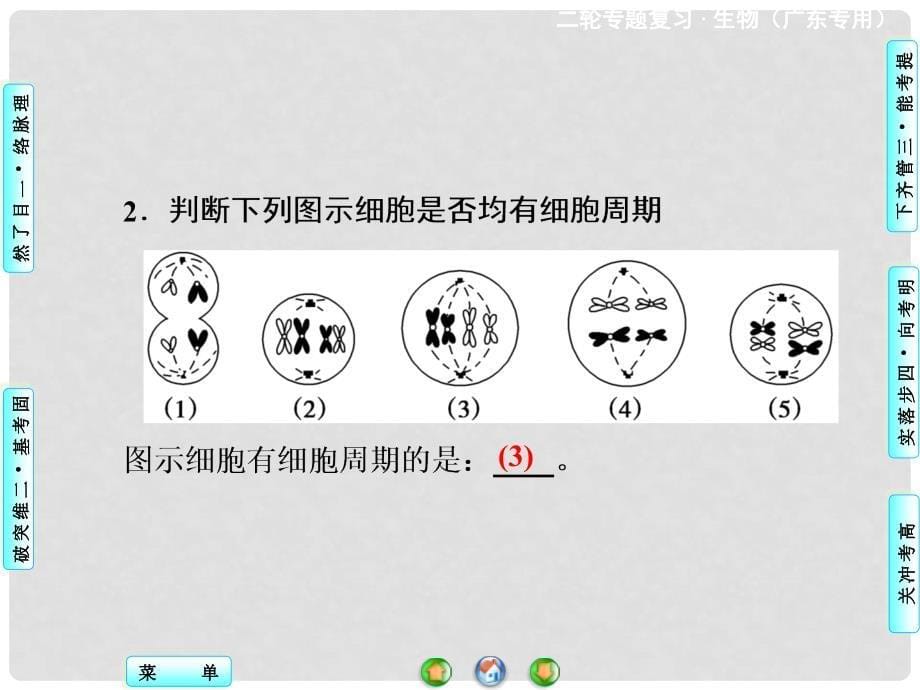 高考生物二轮复习 专题讲练突破 专题3 第1讲 细胞的增值和受精作用课件_第5页