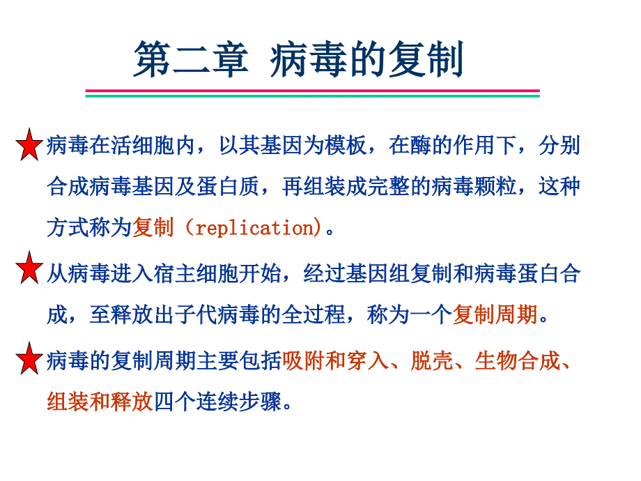 第二病毒的复制_第1页