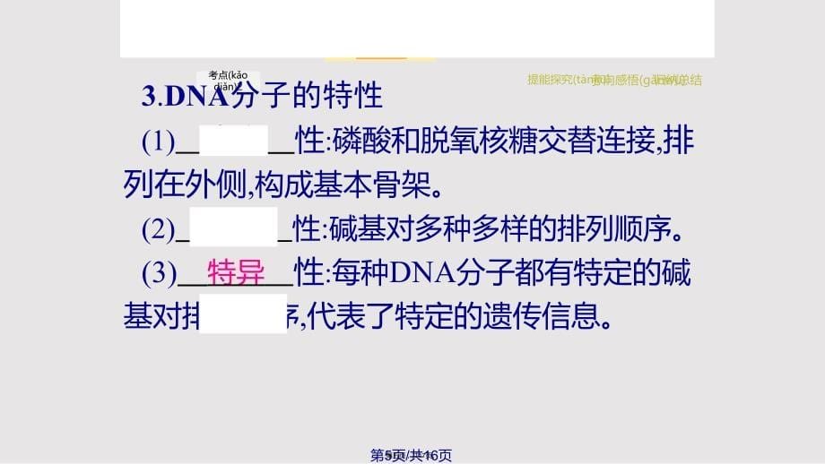 DNA分子的结构1实用教案_第5页