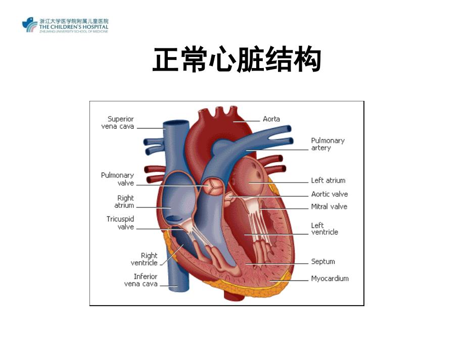 先心术后病人的循环治疗管理_第2页