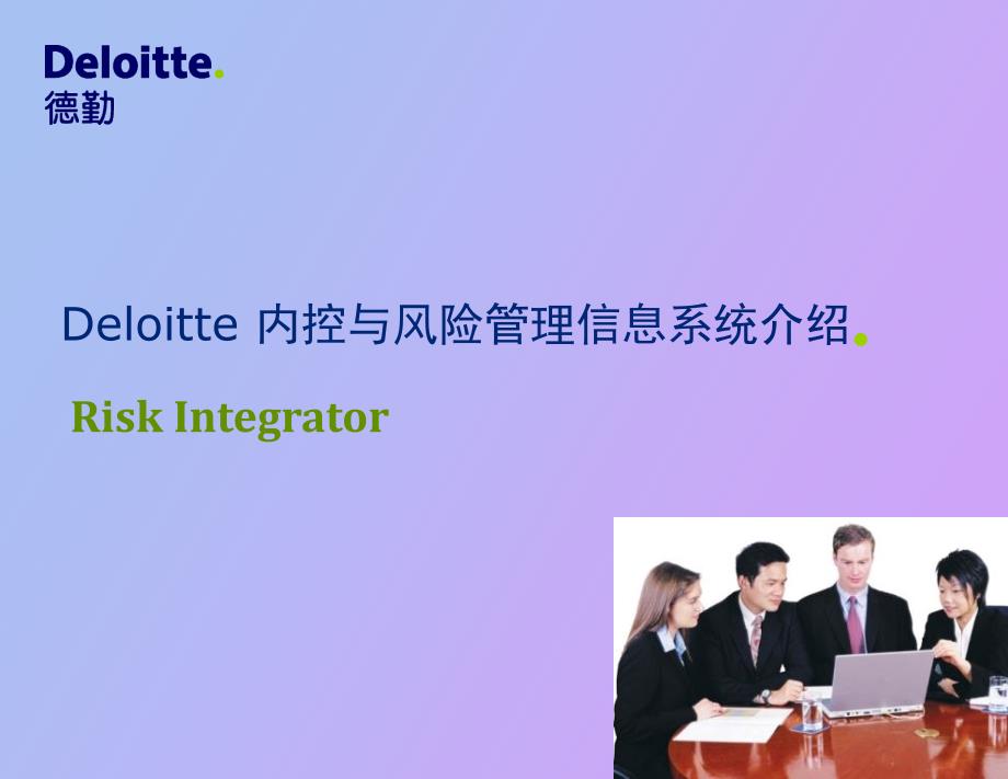 Deloitte内控与风险管理信息系统_第1页