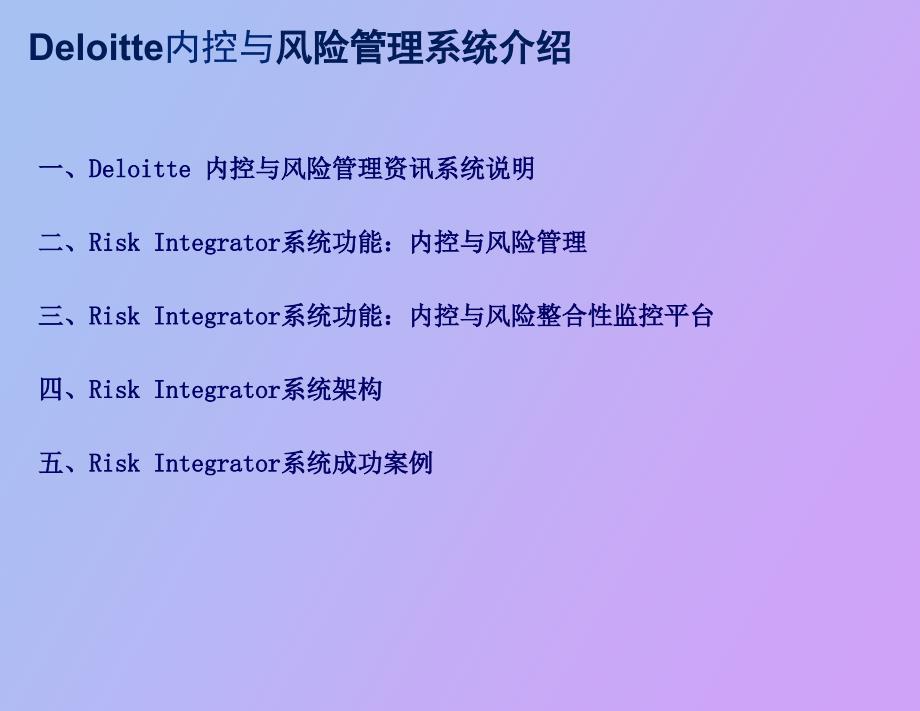 Deloitte内控与风险管理信息系统_第2页