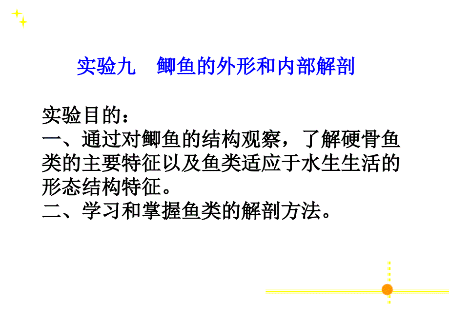 动物学实验九-鲫鱼解剖_第1页