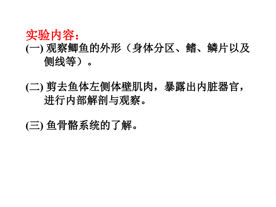 动物学实验九-鲫鱼解剖_第2页