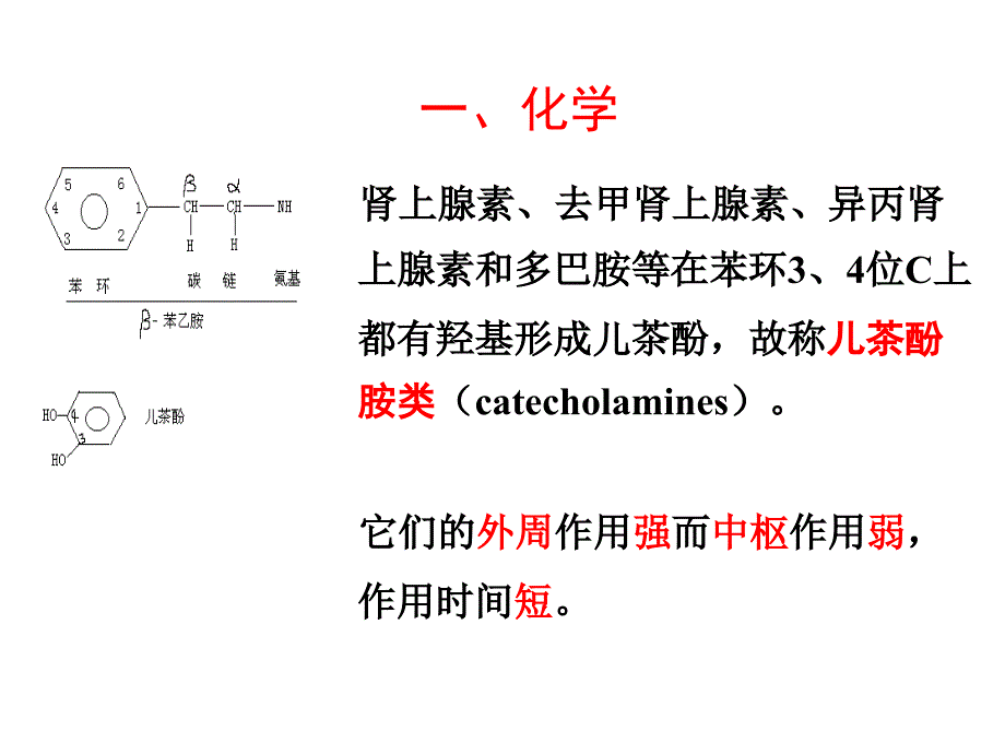 第10章 肾上腺素受体激动药_第4页