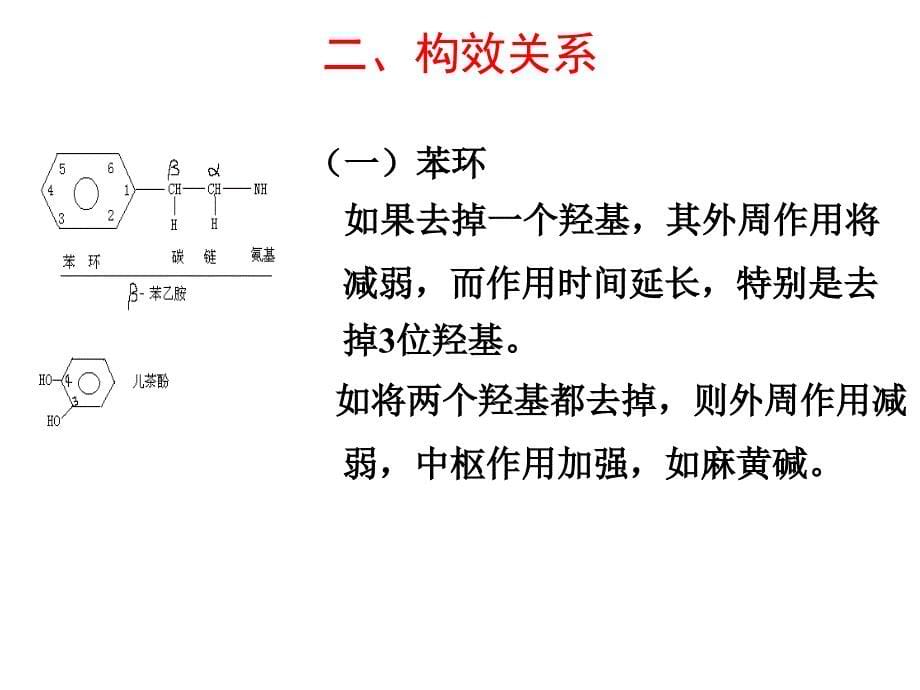 第10章 肾上腺素受体激动药_第5页