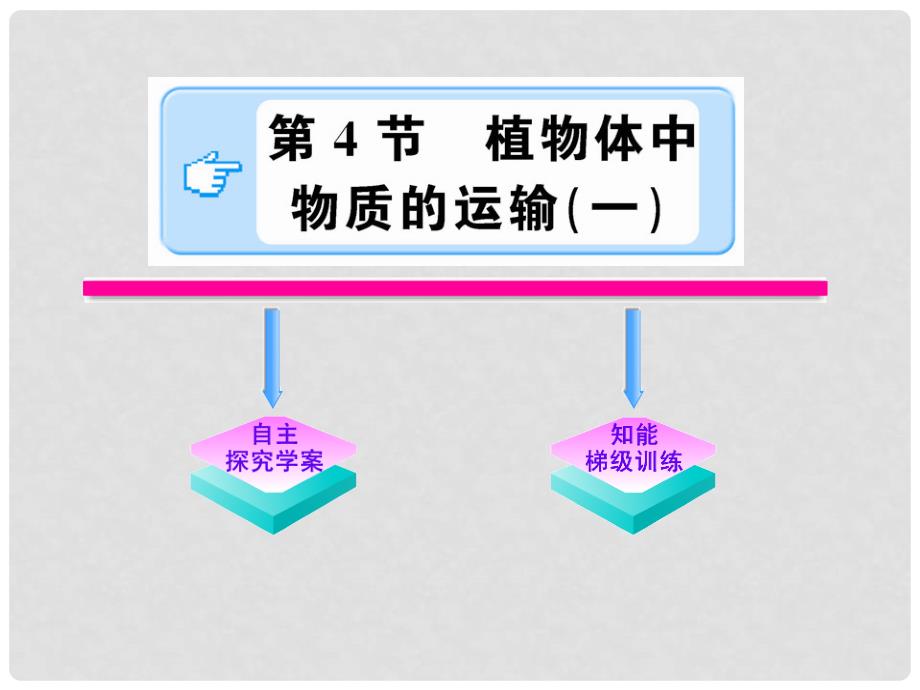 版八年级科学下册 《植物体中物质的运输》课件 浙教版_第1页