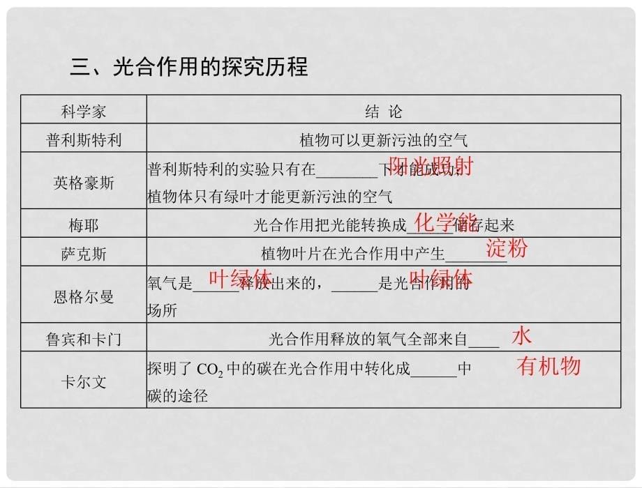 高考生物总复习 第5章 细胞的能量供应和利用 第4节 能量之源——光与光合作用课件 新人教版必修1_第5页