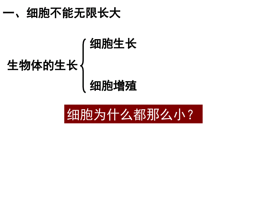 高一生物必修二细胞增殖_第4页